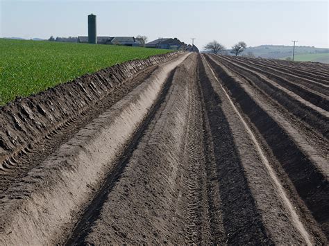 Potato Trenches By Tullich Steading © Julian Paren Geograph Britain