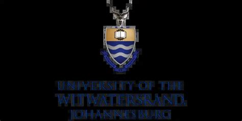 Vacancies At The University Of Witwatersrand Wits Youth