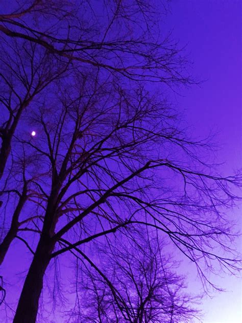 Purple Aesthetic Wallpaper Download Mobcup