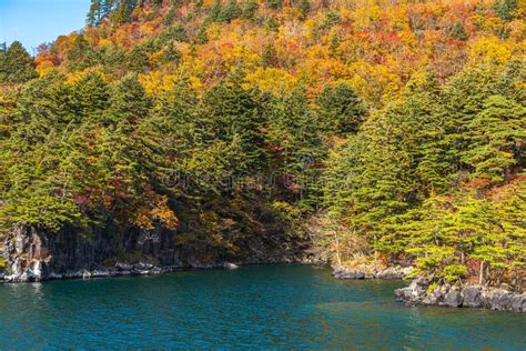 Beautiful Autumn Foliage Scenery Landscapes View From Lake Towada