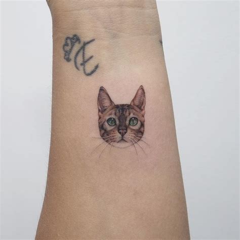 Cat Head Tattoo Dövme Kedi Tattoo
