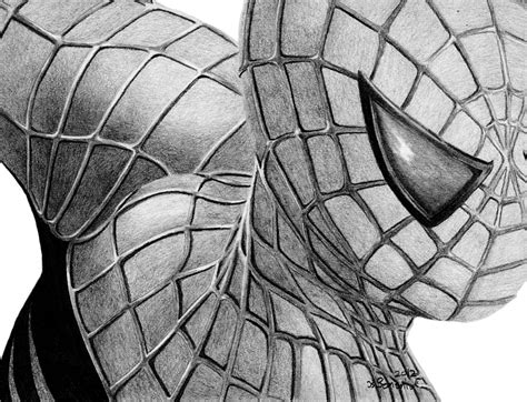 Spider Man By Kayleigh Semeniuk