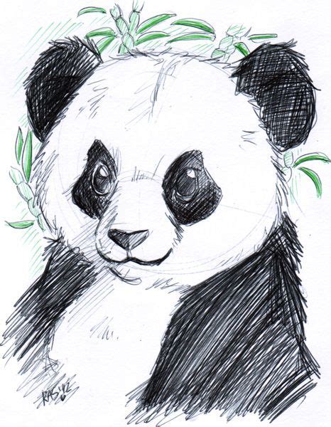 Keyshakitty On Deviantart Panda Drawing Cute Panda Drawing Panda Sketch
