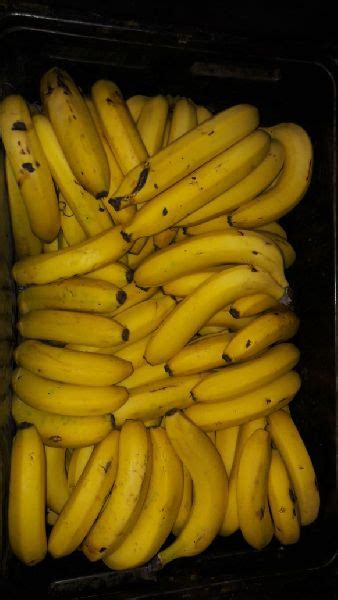 Ripe Banana By Bananaworld Pty Ltd Ripe Banana From Nelspruit South