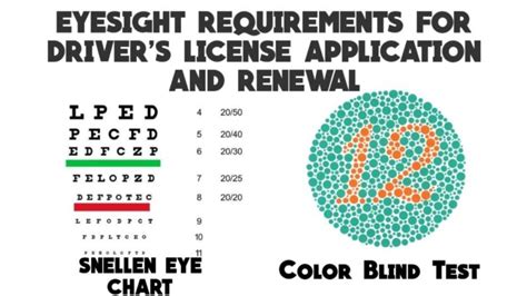 Driver License Renewal Eye Test Printable Worksheets