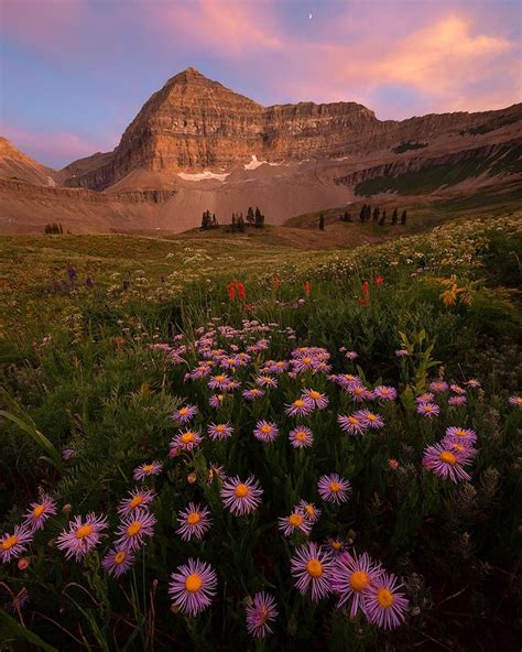 Mount Timpanogos Utah By Dustin Lefevre Landscape Nature