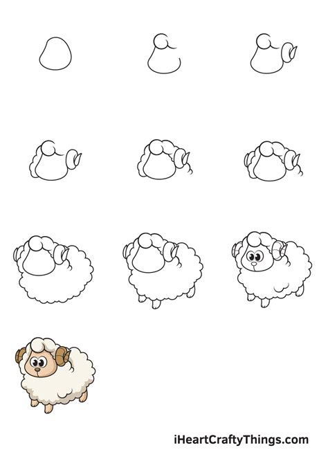 Sheep Drawing — How To Draw A Sheep Step By Step