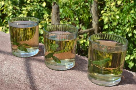Glasses Of Tea Stock Photo Image Of Delicious Herb 107202232