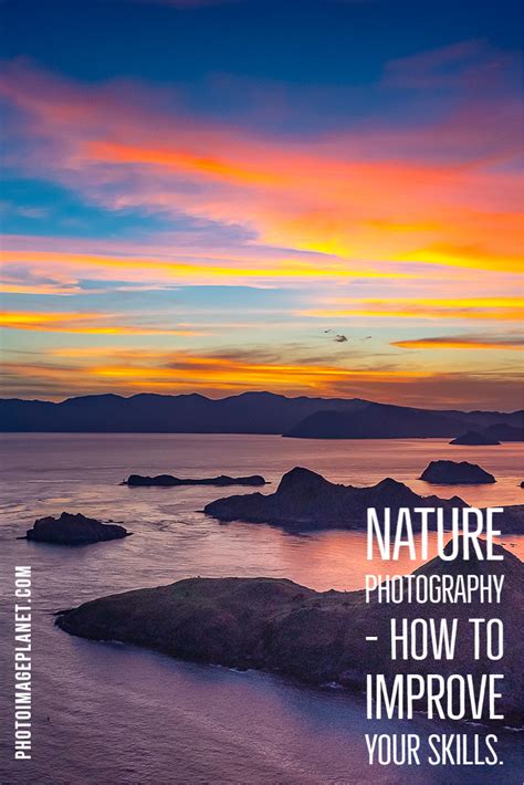 Nature Photography How To Improve Your Skills Nature