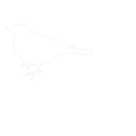 White Bird Png Svg Clip Art For Web Download Clip Art Png Icon Arts