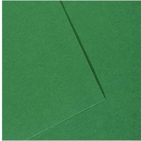 paquet de 10 feuilles mi teintes canson 50 x 65 cm 160 g coloris vert billard cdiscount jeux