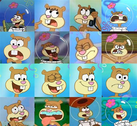Spongebob Squarepants Sandy Cheeks Faces By The Acorn