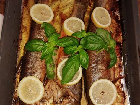 11 saibling rezept ofen