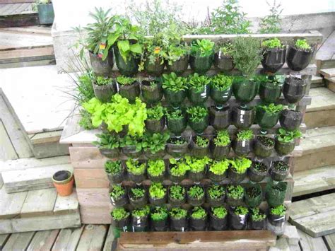 Tanaman cabai rawit cocok ditanam di rumah. Cara Mudah Membuat Kebun Vertikal di Rumah | Pak Tani Digital