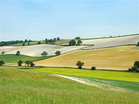 Walk Of The Month The Chilterns The Independent The Independent