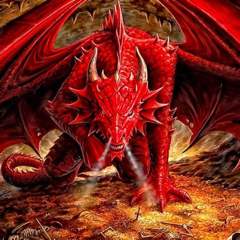 Dragon ☼ Totem Protección Cambio Y Transformación Como Tótem El