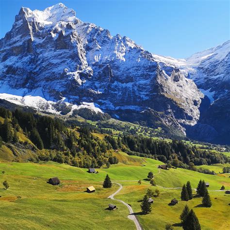 Grindelwald In Switzerland Reurope