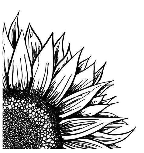 11 Best Sunflower Stencil Ideas Sunflower Stencil Sunflower