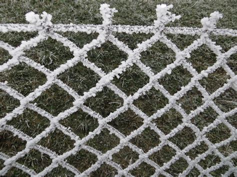 Frosted Fence Free Stock Photo Public Domain Pictures