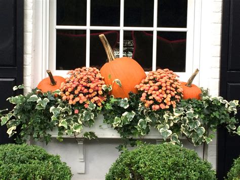 Pumpkin Mums Window Box Fall Decorating Traditional Home The Glam Pad
