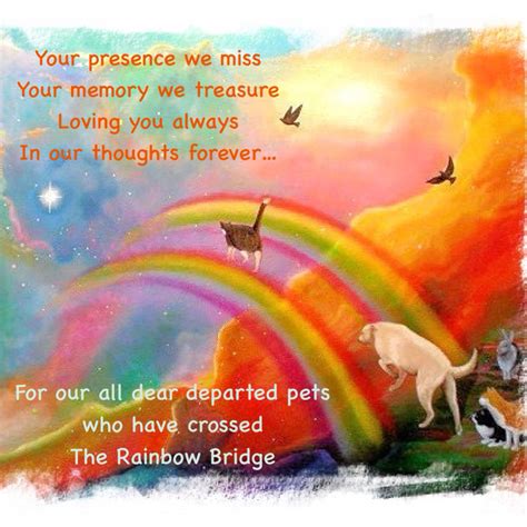Help other pets accept the loss of a pet. Rainbow bridge Memes