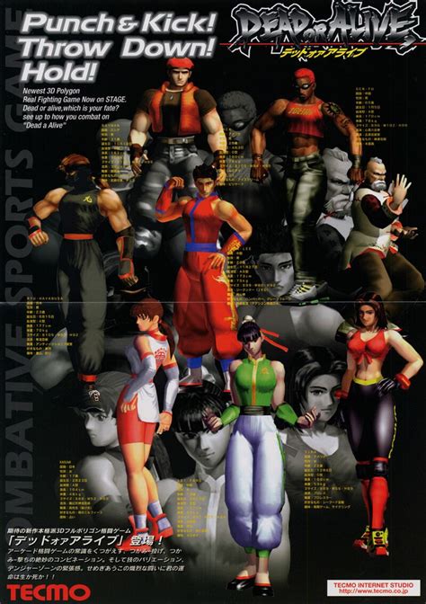 Filedead Or Alive Arcade Flyer — Strategywiki The Video Game Walkthrough And Strategy