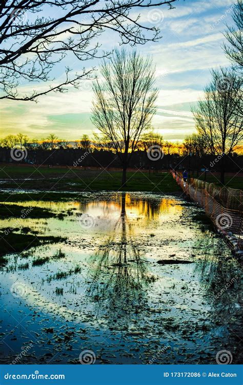 The Tree Of Eternal Life Stock Photo Image Of Beautiful 173172086