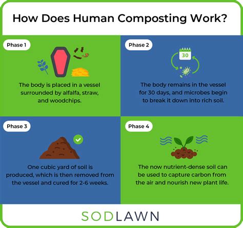 Overlooked Composting Innovations That Will Change The Future Sodlawn