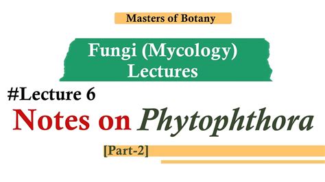 Lecture 6 Phytophthora Part 2 Fungi Mycology Lecture Notes
