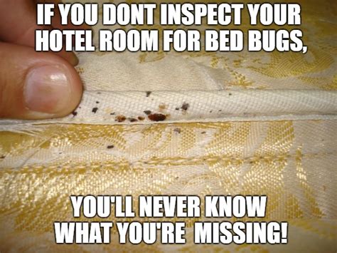 Bed Bug Hotel Room Imgflip