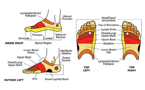 Reflex Points Hands Feet And Face Reflexology Chart Reflexology