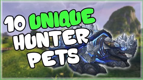 Follow this short article, you will find the answer. Wow Classic Pets Rare