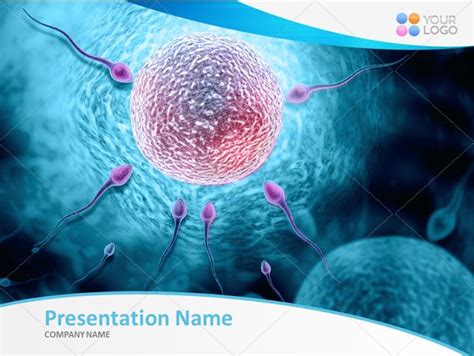 Digital Illustration Of Female Reproductive System In Colour Background Slidelikes Com