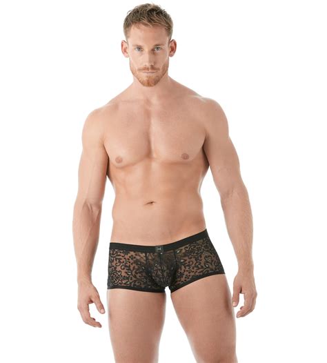new gregg homme rococo collection underwear news briefs