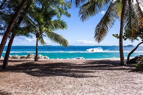 plaj Palmiye ağaçları kum okyanus deniz jet ski turkuaz Su
