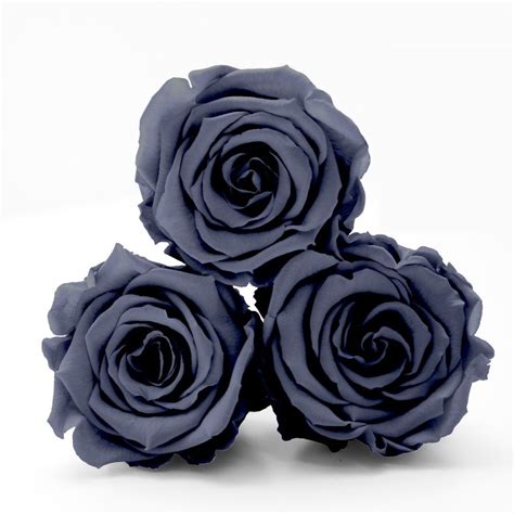 Box Of Grey Infinity Roses That Last A Year Rose Roses Only