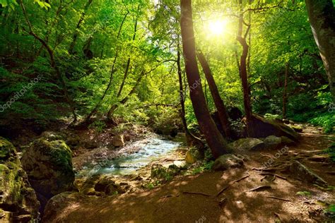 The Mountain River In The Forest Stock Photo By ©krivosheevv 25073717