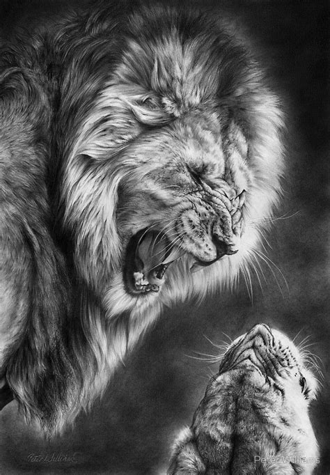 Lion vector animal wild one line design. Heat Of The Night by Peter Williams | Pencil drawings of animals, Lion pictures, Lion art