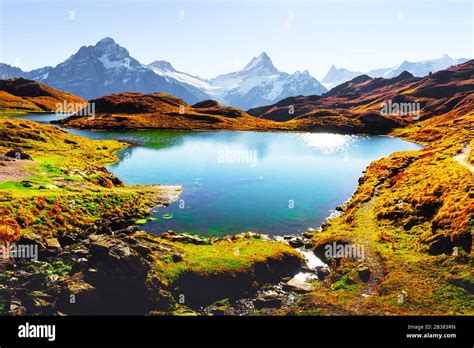 Picturesque View On Bachalpsee Lake In Swiss Alps Mountains Snowy