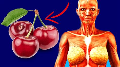 هذه الصفحة للتعريف عن الشيعة في افغانستان وتاريخهم الاجتماعي والسياسي والتعريف برجالات. هل تعلم ماذا يحدث لجسمك عند أكل الكرز يومياً ؟ هذه أهم ...