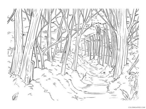 Free Printable Forest Coloring Pages Printable Templates