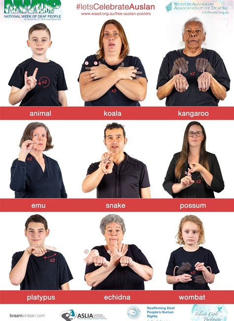 Learn Sign Language Free Sign Language Alphabet Australian Sign