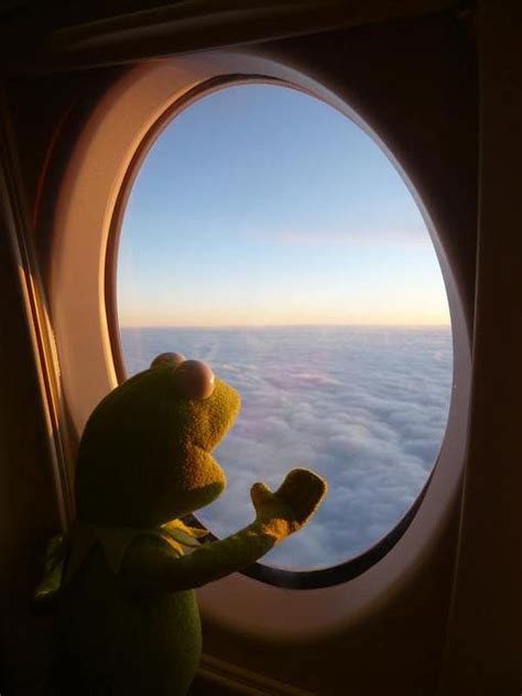 Kermit Looking Out An Airplane Window Photoshopbattles