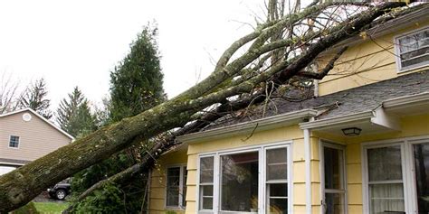 How To Deal With Storm Damage Od Jones Roofing