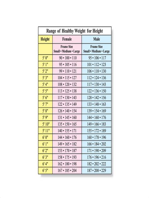 Height And Weight Chart Examples 7 Samples In Pdf Doc Examples