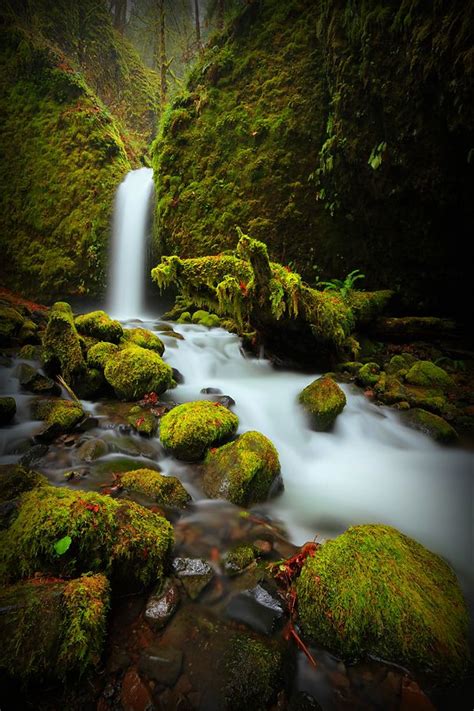 Mossy Grotto Falls Columbia River Gorge Oregon Beautiful Waterfalls