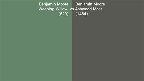 Benjamin Moore Weeping Willow Vs Ashwood Moss Side By Side Comparison