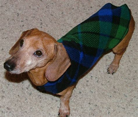 Cozy Fleece Dachshund Sweater Dachshund Sweater Dachshund Weiner Dog