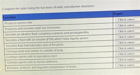 Get Answer Complete The Table Listing The Functions Of Male