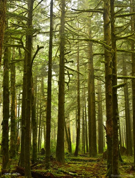 Image Of Forks Of The Sky State Park 1018675